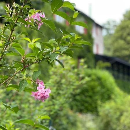 Les Grillons Du Morvan Montsauche-les-Settons Exterior foto